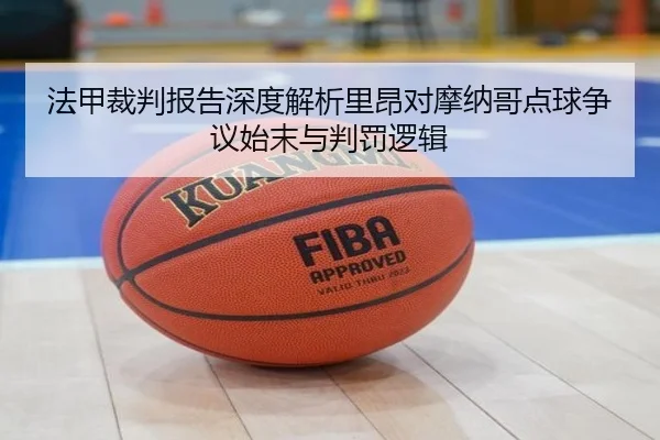 法甲裁判报告深度解析里昂对摩纳哥点球争议始末与判罚逻辑